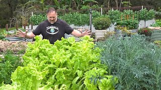 Do These 5 THINGS to Grow MORE Veggies ALL Season [upl. by Aivan]