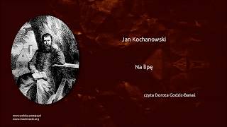 Jan Kochanowski  Na lipę [upl. by Leksehcey]