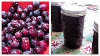 How to make Plum Jam  Canning Done Easy [upl. by Berglund]