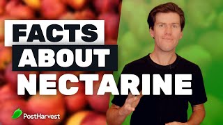 Facts About Nectarines [upl. by Anin618]