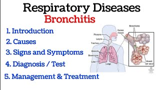 Antibiotic Awareness Chest Cold Bronchitis [upl. by Keiryt]