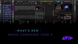 Whats New in Avid Media Composer 20209 [upl. by Gracie187]