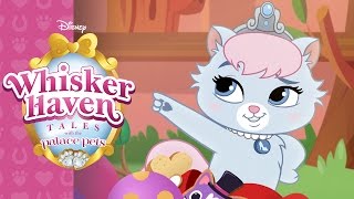 SlipperSparkle  Whisker Haven Tales with the Palace Pets  Disney Junior [upl. by Buehler]