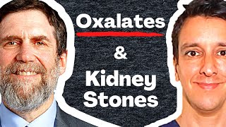 Oxalates amp Kidney stones  Dr David Goldfarb MD [upl. by Ateikan860]