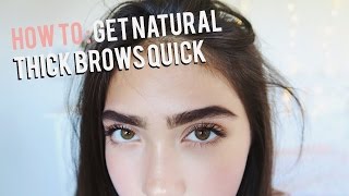 How To Grow Eyebrows FAST Thick amp Natural [upl. by Ertemed]