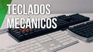 Teclados mecánicos guía a fondo para conocer sus diferencias [upl. by Adala566]