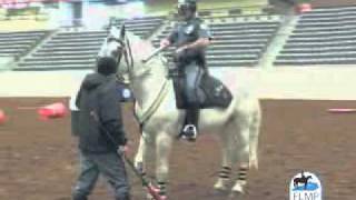 Lexington KY Mounted Police Procedures [upl. by Mirabel]