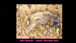 Estimating Post Mortem Interval part 4  Stage Four of Decay Dry Decay [upl. by Medarda778]