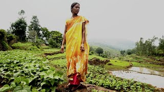 Zero Budget Natural Farming An Agricultural Revolution is Taking Shape in India [upl. by Darwen]