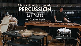 Choose Your Instrument  Percussion [upl. by Audre]