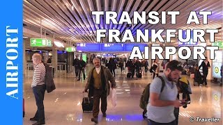 TRANSIT WALK AT FRANKFURT Airport FRA Terminal 1  Connection Flight Transfer Arriving amp Departing [upl. by Peursem454]