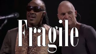 Stevie Wonder amp Sting  Fragile English amp French OnScreen Lyrics [upl. by Rexferd154]